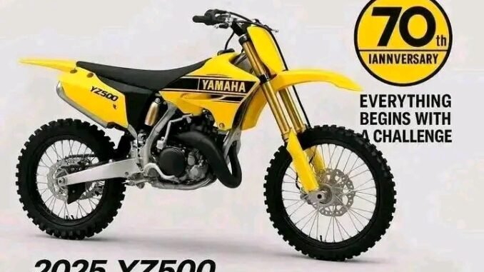 1749294025762